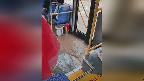 女人喷水的视频,揭秘女性喷水视频的魅力瞬间