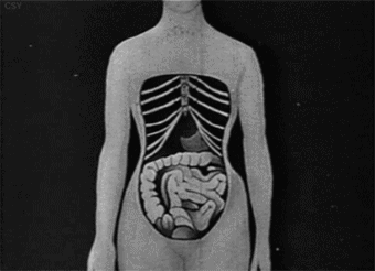 束腰视频,塑形美体新潮流