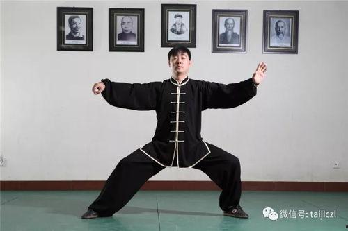 太极八法视频,动静之间，探寻阴阳平衡之道