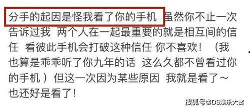 小说今日宜吃瓜后续,揭开神秘事件的背后真相