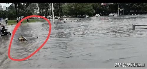 四川省暴雨视频,城市瞬间变泽国