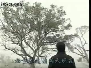 郑少秋歌曲视频,郑少秋经典歌曲视频魅力再现