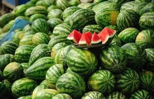 网红吃瓜群黑历史,那些被遗忘的黑历史瞬间