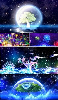 舞台演出背景视频,背景视频背后的故事