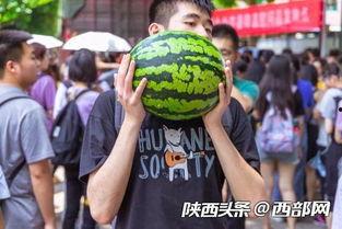 今日爆料吃瓜阳宝骑行圈,揭秘今日爆料背后的精彩故事