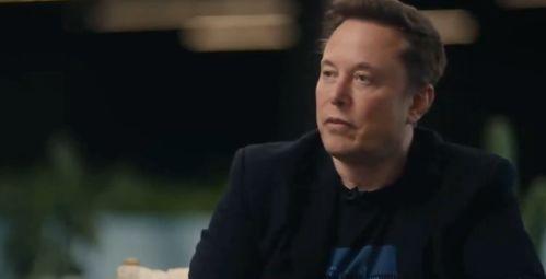 马斯克视频,科技巨头的前沿探索与未来展望