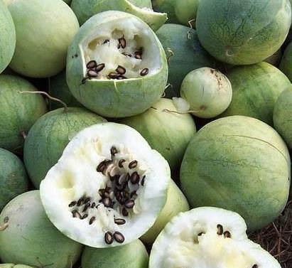 吃瓜 黑料,吃瓜黑料背后的真相与反思