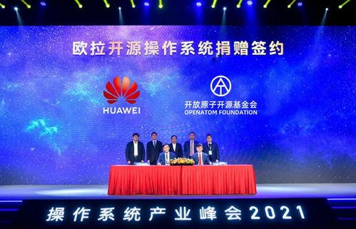 峰会视频,聚焦未来发展趋势与战略布局