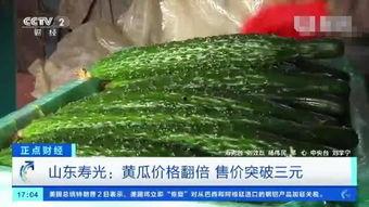 寿光今日瓜价行情,今日瓜价波动，新鲜资讯一览”