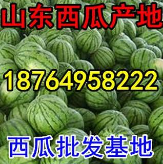 寿光今日瓜价行情,今日瓜价波动，新鲜资讯一览”