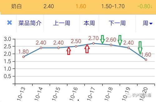 云南扁瓜今日价格行情走势,波动中寻求平衡