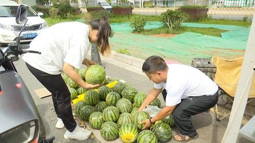 黑料社区吃瓜爆料入口,吃瓜爆料入口大揭秘！