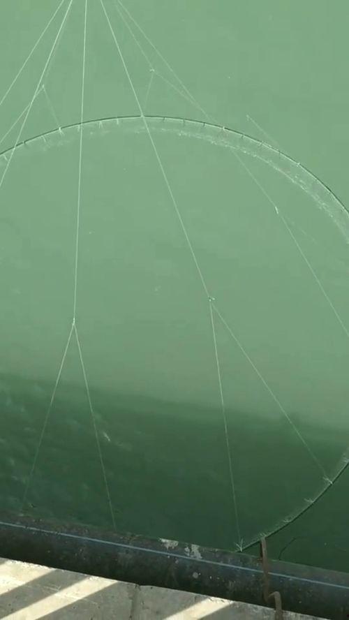 搬网捕鱼视频,搬网捕鱼视频揭秘海洋捕捞新技巧