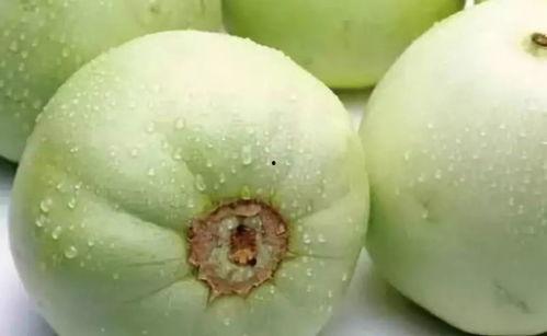 江苏吃瓜爆料是真的吗,真相揭秘还是无稽之谈？