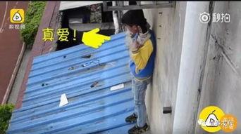 小孩爬墙视频,小勇士攀爬高墙，展现勇敢与智慧