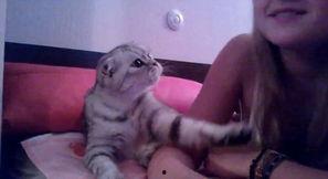 小花猫视频,小花猫的欢乐视频大揭秘