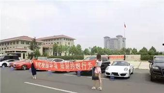 车顶放水成功视频,轻松应对暴雨挑战