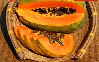 51cg吃瓜今日吃瓜入口,今日吃瓜入口，揭秘娱乐圈最新热点