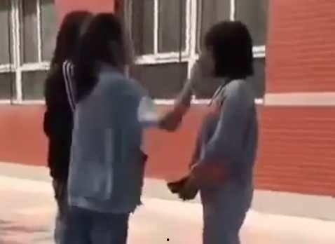 女人打架视频,一幕幕暴力画面引关注