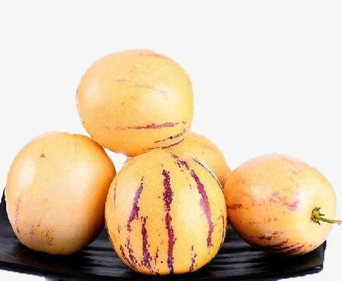 怀孕可以吃黑茄瓜,黑茄瓜助力母婴健康