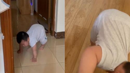 螃蟹爬行视频,揭秘海洋生物的独特步态