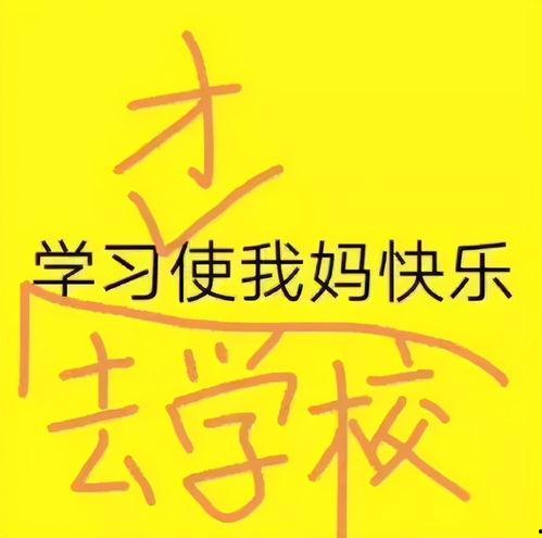 今日份小呆瓜文案图片,小呆瓜今日份的欢乐瞬间
