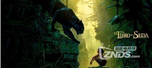 奇幻视频,探索未知领域的视觉奇观