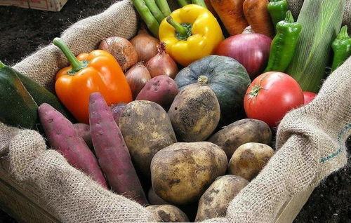 河北邢台第一美吃瓜最新事件爆料,第一美吃瓜事件引爆网络热议