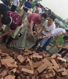 河北邢台第一美吃瓜最新事件爆料,第一美吃瓜事件引爆网络热议