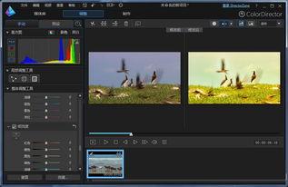 视频调色软件,打造个性化视觉盛宴的秘籍解析