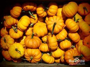 孕妇可以吃黑楠瓜吗,黑楠瓜的适宜与禁忌