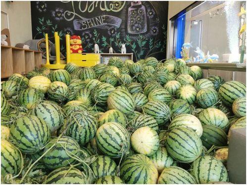 今日吃瓜51网,今日吃瓜51网独家爆料