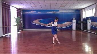 兔子舞视频,欢快节奏下的活力展现