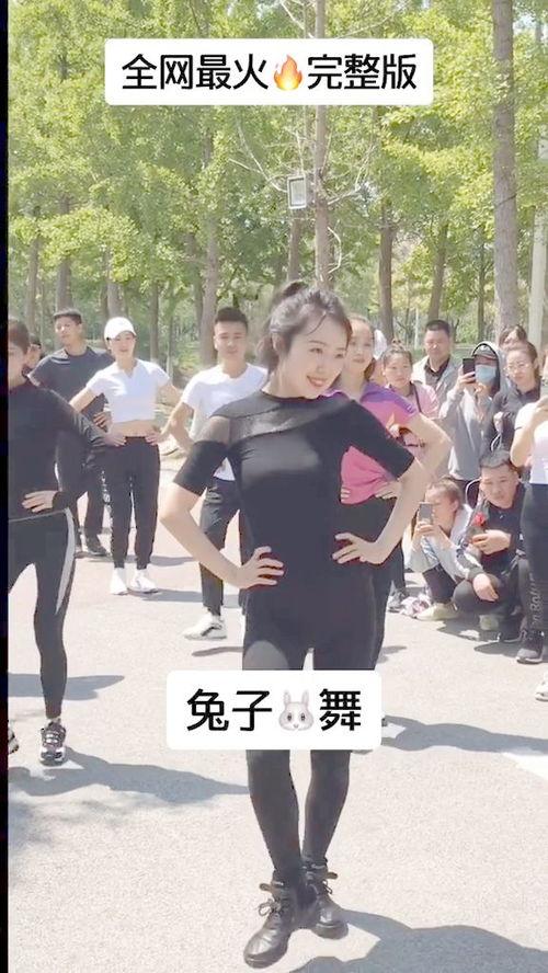 兔子舞视频,欢快节奏下的活力展现
