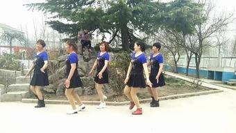 兔子舞视频,欢快节奏下的活力展现