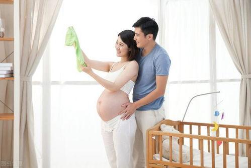 怀孕同房视频,专业视频解析