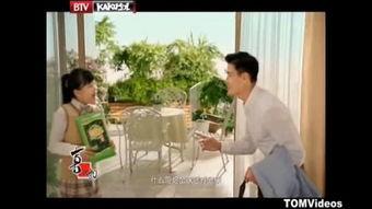 李洪成专家四柱视频,视频课程深度解析