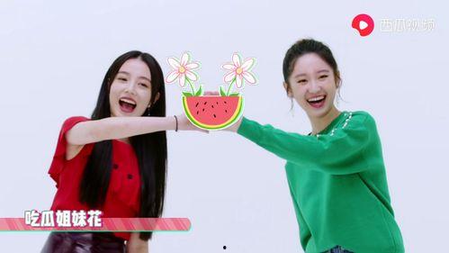 红领巾爆料吃瓜网视频,揭秘娱乐圈幕后真相