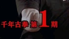 少林柔拳教学视频,跟随教学视频领略传统武术魅力