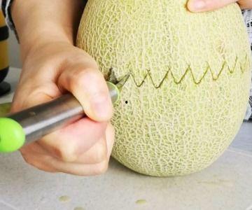 黑兔可以吃哈密瓜吗,探寻兔子饮食新选择