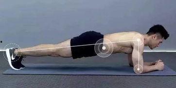 平板支撑视频,跟随视频轻松掌握核心训练技巧