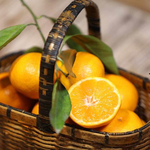 桔子视频,揭秘短视频时代的魅力与挑战