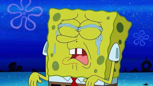 画海绵宝宝的视频,创意与技术的完美融合