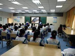 禁毒小品视频,揭秘禁毒小品背后的警示力量