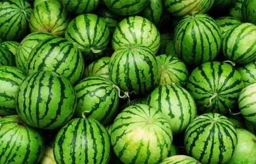 今日必吃的瓜是什么瓜,揭秘热门话题背后的真相