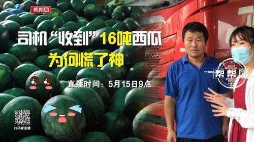 今日爆料 反差吃瓜,反转再反转！娱乐圈爆料背后的惊人真相