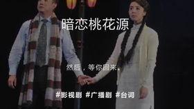 暗恋桃花源视频,一场跨越时空的浪漫邂逅