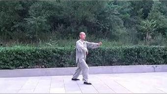 太极拳教学视频,领略传统武术魅力，轻松入门养生之道