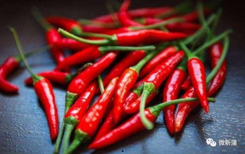 国内黑科吃瓜免费,免费获取瓜子的秘密通道