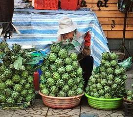 国内黑科吃瓜免费,免费获取瓜子的秘密通道